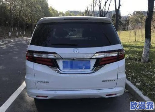 每日大赛:惊天动地!参赛选手竟然在比赛中意外发现古代宝藏,震惊全场! 每日大赛:惊天动地!参赛选手竟然在比赛中意外发现古代宝藏,震惊全场!