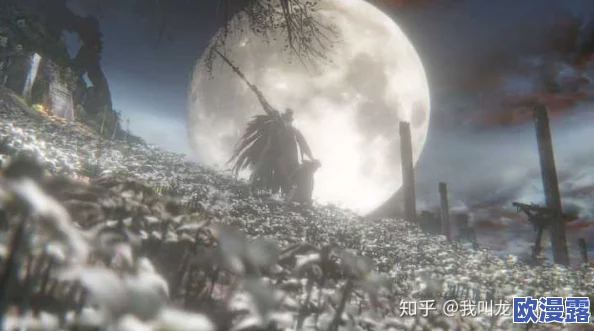 比较分析:怪物猎人系列与血源诅咒哪个游戏难度更高? 比较分析:怪物猎人系列与血源诅咒哪个游戏难度更高?