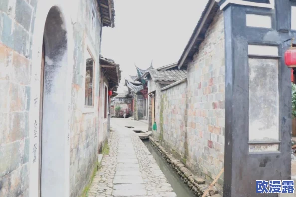 DNF苏醒之森版本男漫游角色技能加点攻略与推荐