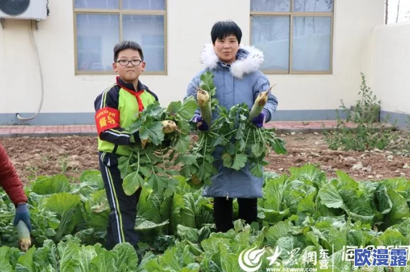 美女拨萝卜:探讨农村女性在农业生产中的角色与贡献及其对乡村振兴的影响分析 美女拨萝卜:探讨农村女性在农业生产中的角色与贡献及其对乡村振兴的影响分析