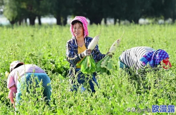 美女拨萝卜:探讨农村女性在农业生产中的角色与贡献及其对乡村振兴的影响分析 美女拨萝卜:探讨农村女性在农业生产中的角色与贡献及其对乡村振兴的影响分析