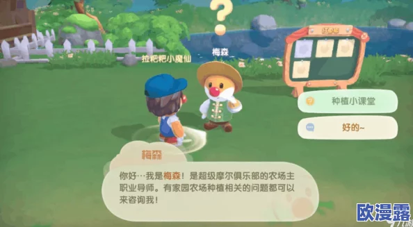 摩尔庄园手游深度种植收益攻略与精彩内容推荐指南