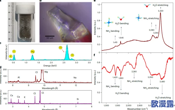 xxxxxl19d:最新研究揭示其在生物医学领域的潜在应用与发展前景,科学家们正积极探索新技术 xxxxxl19d:最新研究揭示其在生物医学领域的潜在应用与发展前景,科学家们正积极探索新技术
