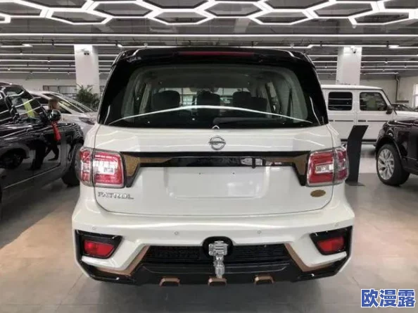 日产卡1卡2卡3精品视频：内部员工曝光车辆设计秘密，引发行业猜测和讨论