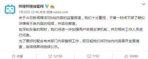 少女视频哔哩哔哩免费观看完整版曝光！隐藏内容震惊全网，千万网友争相观看！