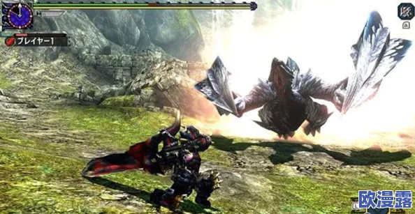 怪物猎人XX游戏中哪个按键是用于执行踢腿动作的指令？