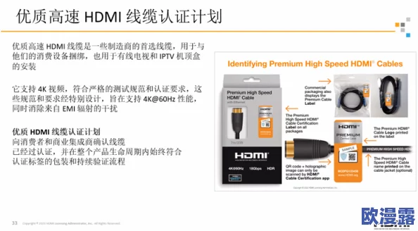 日本hdmi高清线：探讨其技术规格、应用场景及市场趋势分析