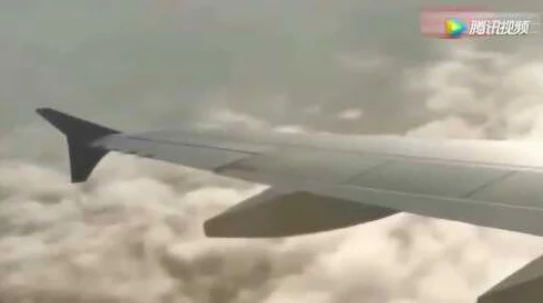 震惊！777成了人乱视频，网友纷纷表示无法直视，背后真相让人瞠目结舌！