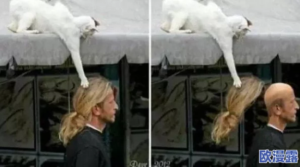 性欧美欧美另类巨大:震惊!全球最大规模的另类文化盛会即将开启,吸引数万参与者共襄盛举! 性欧美欧美另类巨大:震惊!全球最大规模的另类文化盛会即将开启,吸引数万参与者共襄盛举!