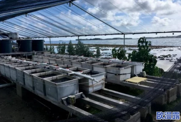 轻轻＊，震惊！全球科学家发现新物种，可能改变我们对生态系统的理解，引发广泛关注与讨论！