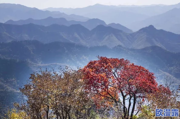 《心动小镇》初期游戏体验分享：新手玩家如何踏上成长与探索之旅
