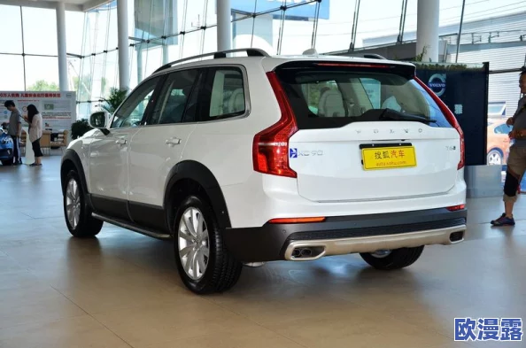 497799欧洲版的国产suv:网友热议其设计与性能,认为性价比高但品牌认知度仍需提升 497799欧洲版的国产suv:网友热议其设计与性能,认为性价比高但品牌认知度仍需提升