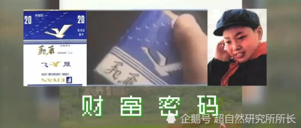 成品码78w78:传闻背后隐藏的秘密,业内人士曝出惊人内幕,引发热议与关注! 成品码78w78:传闻背后隐藏的秘密,业内人士曝出惊人内幕,引发热议与关注!