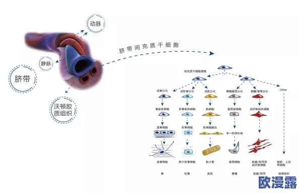 可不可以干湿你最简单?惊呆众人,科学家公布最新研究成果,彻底颠覆我们对干湿的理解! 可不可以干湿你最简单?惊呆众人,科学家公布最新研究成果,彻底颠覆我们对干湿的理解!