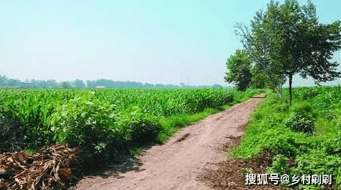农村妇女树林里BBw:探讨乡村女性在自然环境中的生活方式与社会角色的多重影响因素分析 农村妇女树林里BBw:探讨乡村女性在自然环境中的生活方式与社会角色的多重影响因素分析