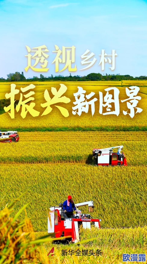 岳婿合体苏洒林道,携手共创美好未来,共同推动乡村振兴与生态保护新篇章 岳婿合体苏洒林道,携手共创美好未来,共同推动乡村振兴与生态保护新篇章