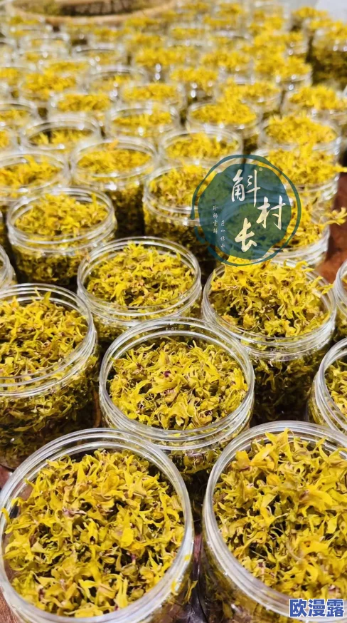 九幺一级黄：对中国传统文化中颜色象征意义的深入分析与研究