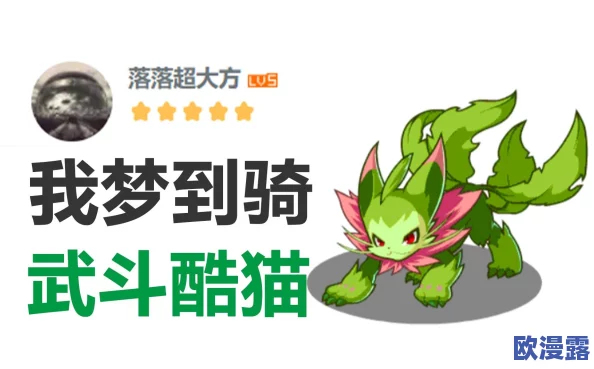 武斗酷猫全方位技能解析与战斗应用指南 武斗酷猫全方位技能解析与战斗应用指南