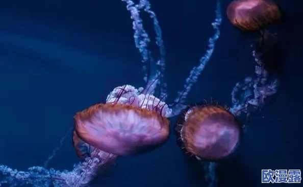 猛烈撞击灌满白浊花液,惊现神秘生物引发科学界震动,专家紧急调查背后真相! 猛烈撞击灌满白浊花液,惊现神秘生物引发科学界震动,专家紧急调查背后真相!