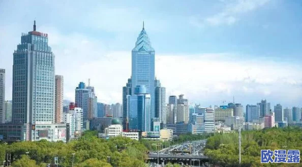 新疆乌鲁木齐XXXXXLmedjian-：探讨该地区在经济、文化和社会发展方面的独特挑战与机遇，分析其对周边区域的影响