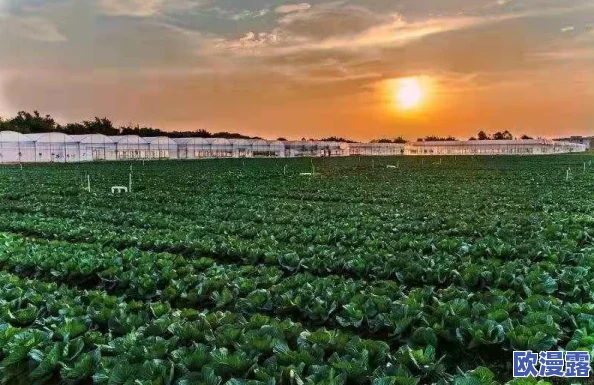 人与畜禽的合作关系:科学研究揭示人类与动物间惊人共生模式,改变未来生态合作的新方向! 人与畜禽的合作关系:科学研究揭示人类与动物间惊人共生模式,改变未来生态合作的新方向!