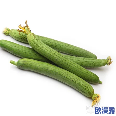 丝瓜Aaa:最新研究揭示其在健康饮食中的潜力与应用,助力提升生活质量的科学依据与实践建议 丝瓜Aaa:最新研究揭示其在健康饮食中的潜力与应用,助力提升生活质量的科学依据与实践建议