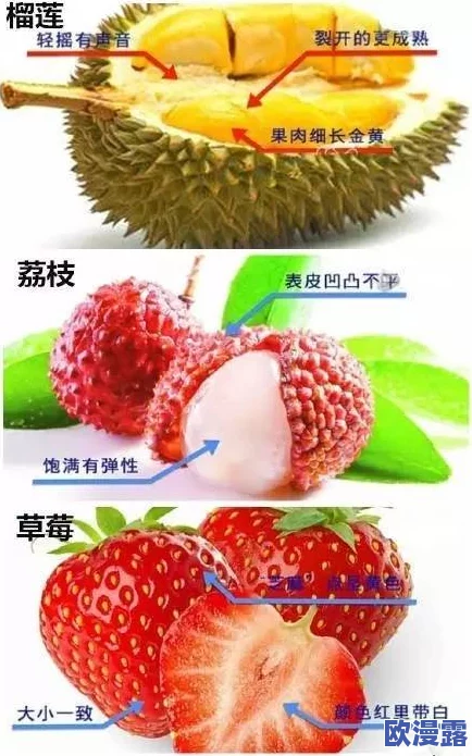 51吃瓜今日吃瓜必吃胖猫吃瓜中心,分享各种美味的西瓜品种,让你在炎热夏季尽情享受清凉与甜蜜 51吃瓜今日吃瓜必吃胖猫吃瓜中心,分享各种美味的西瓜品种,让你在炎热夏季尽情享受清凉与甜蜜