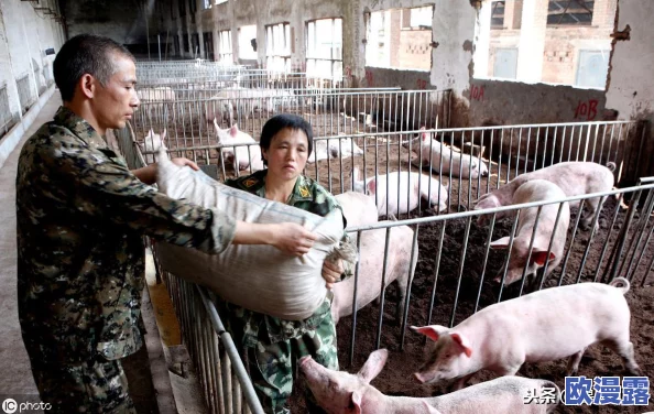 我把英语老师抄了一遍视频怎么办?她发现后竟然给我发来了鼓励的私信! 我把英语老师抄了一遍视频怎么办?她发现后竟然给我发来了鼓励的私信!