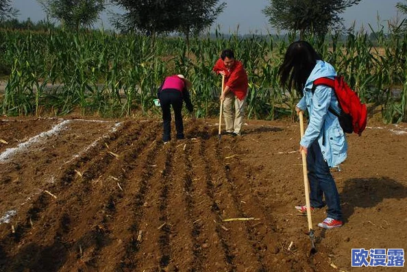 星露谷物语中水壶无水问题的快速有效解决策略 星露谷物语中水壶无水问题的快速有效解决策略