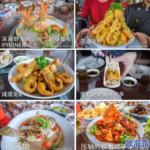 七日世界1.3版雪国人生：深度美食探秘，全新食谱功效总览与特色细致解析