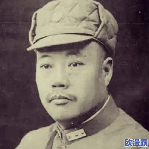 日本XXXX96：震惊！最新调查显示，96%的人对未来生活感到不安，深度影响日本社会稳定！