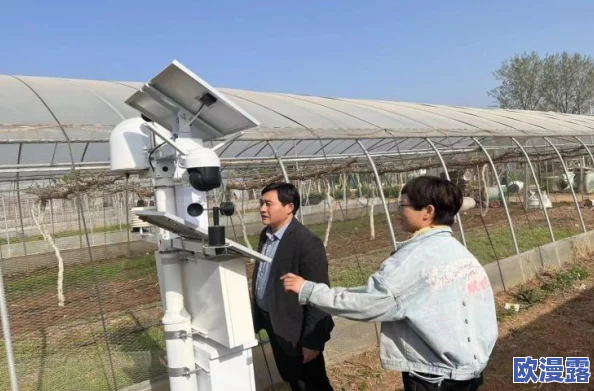 151大但人文艺术欣赏剧集：从历史到现代，透视艺术与人文的交融之旅