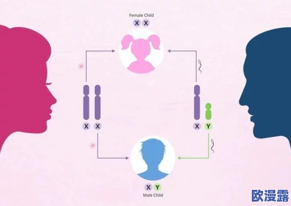 稚嫩h女娃h粗大怀孕1v1:最新研究揭示青少年心理健康与早孕之间的复杂关系,引发社会广泛关注 稚嫩h女娃h粗大怀孕1v1:最新研究揭示青少年心理健康与早孕之间的复杂关系,引发社会广泛关注