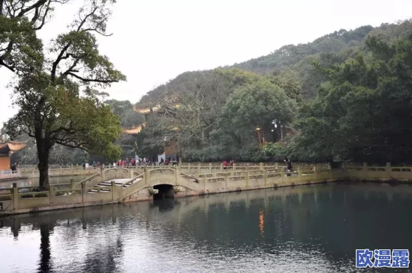 佛前抬高点给我生个孩子，夫妻共同祈愿迎来新生命的感人故事与心路历程分享