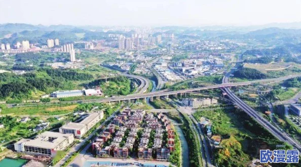 掌中美母1-50：从古至今的文化传承与现代社会中的影响力分析