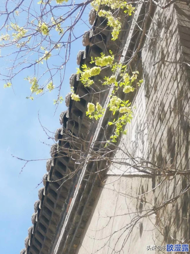 全面解析不思议迷宫圣者之塔高效通关攻略与技巧详解