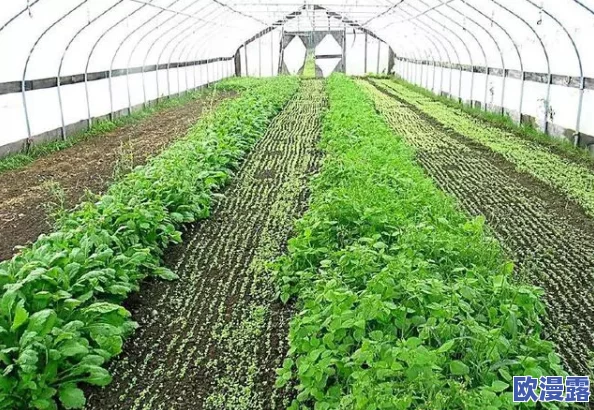 97密桃的起源、种植技巧、营养价值及其在市场上的潜力分析
