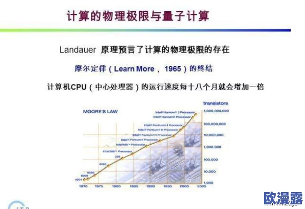 x7x7x7任意噪10＂：在多维空间中探讨随机噪声对信号处理的影响与应用，揭示其潜在价值与挑战
