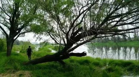 小荡货你好湿好紧好浪好白月，竟然被发现隐藏惊人秘密，网友们纷纷表示难以置信！