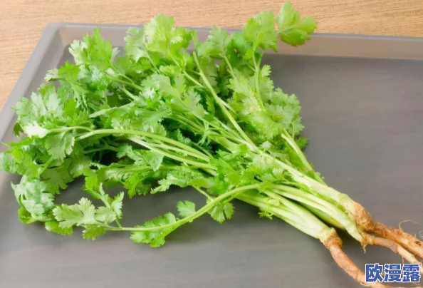 榴莲秋葵让你流连忘返,独特风味与健康营养的完美结合,让每一口都成为舌尖上的享受! 榴莲秋葵让你流连忘返,独特风味与健康营养的完美结合,让每一口都成为舌尖上的享受!