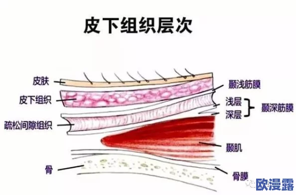 用筋膜枪打小豆豆会怎么样?专家解析其对皮肤的影响与潜在风险,助你科学使用筋膜枪! 用筋膜枪打小豆豆会怎么样?专家解析其对皮肤的影响与潜在风险,助你科学使用筋膜枪!