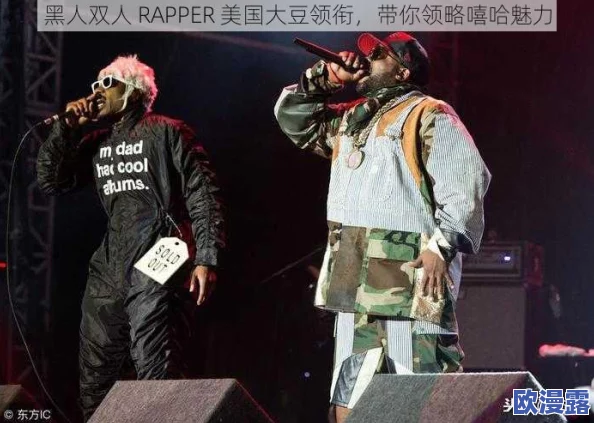 黑人双人RAPPER角色背景：从街头文化到主流音乐的崛起与影响力分析