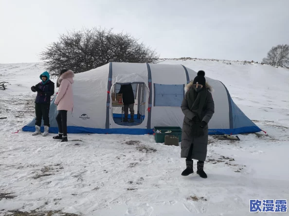 第五人格雪地地图详细攻略：发电机固定刷新位置全解析（两台必知）