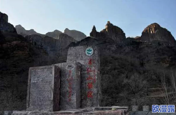 黎明之路步枪大全：全面解析所有步枪属性数据与性能汇总