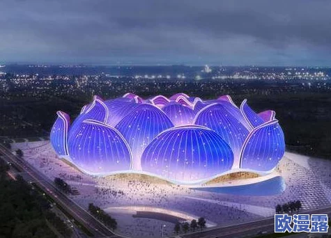 恒大许家印玩白册册小说，背后隐藏的商业秘密与市场动向引发广泛关注与讨论