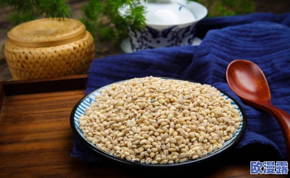 日本薍伦×××50路引发全球热议，背后隐藏的真相让人震惊不已！