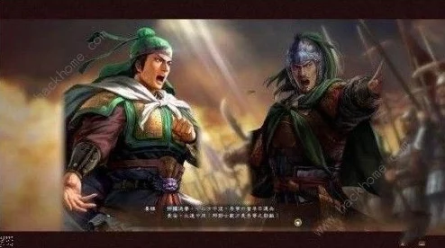 少年三国志深度解析：肉盾武将姜维的全面介绍与技能详解