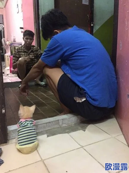 最新流出厕拍系列 海角社区小哥邻居封神之爽,网友热议视频背后的故事与影响,引发广泛关注与讨论 最新流出厕拍系列 海角社区小哥邻居封神之爽,网友热议视频背后的故事与影响,引发广泛关注与讨论