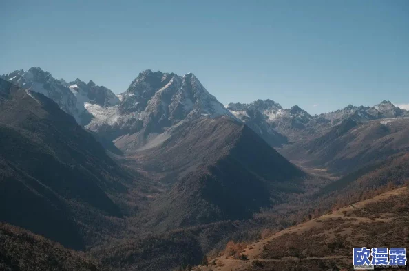 勇者大冒险手游深度解析:自然守护技能分析与高效加点策略 勇者大冒险手游深度解析:自然守护技能分析与高效加点策略