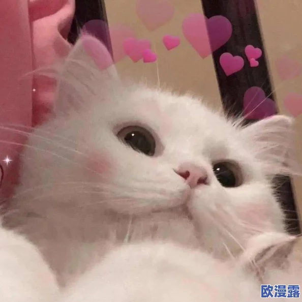孩娇小videos精品：最新发布的可爱视频合集，带你领略萌宠与儿童的欢乐瞬间！